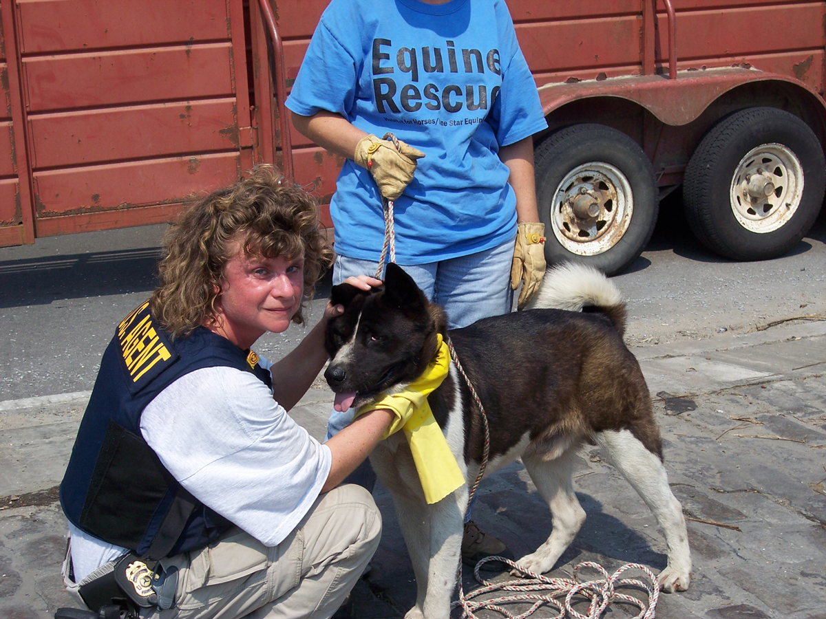 federal agent helping with a cat