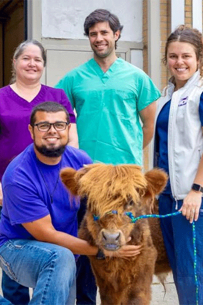 Food Animal team with Duke, a Scottish highland bull