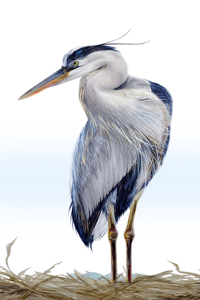 Gentle Keeper, painting of a tall bird with blue, white, and gold feathers