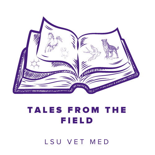 tales from the field graphic