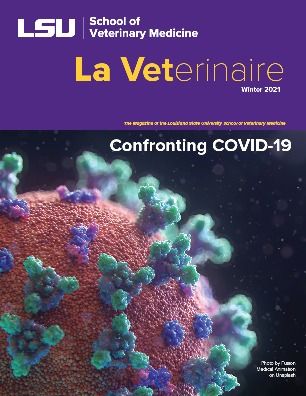 La Veterinaire 2020 cover