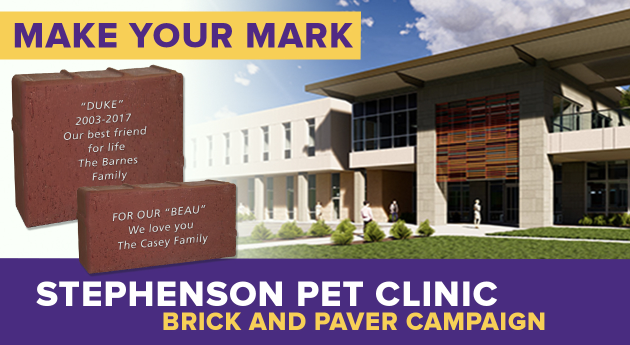 sample bricks in front of stephenson pet clinic